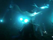 O maravilhoso mergulho noturno com arraias manta, em Kona, na Big Island, no Havaí